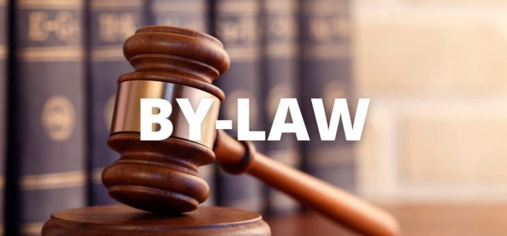 Устав СКООРСК (By-law)